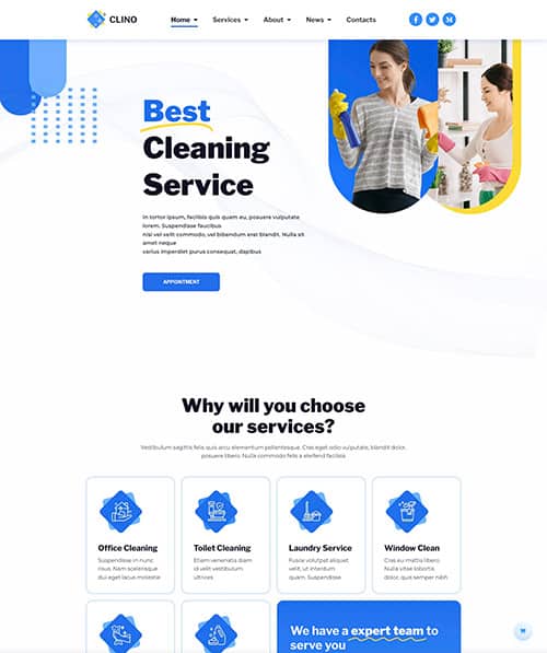 cleaning comapny web design