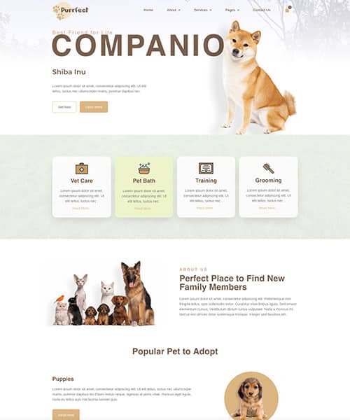 pet care web design