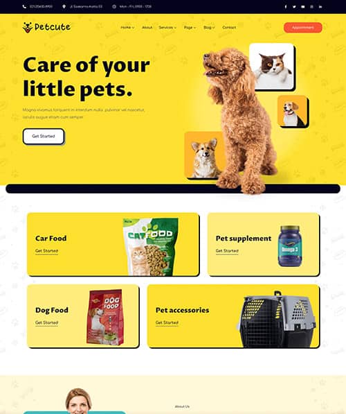 pet care web design
